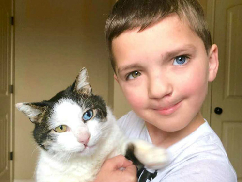 Cậu bé Mỹ thoát khỏi ám ảnh bị bắt nạt nhờ chú mèo hai màu mắt